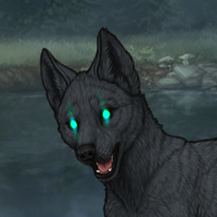 WolfStar Headshot