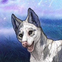 Piebald: Torn - M - 4M Headshot
