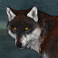 Wolf Headshot