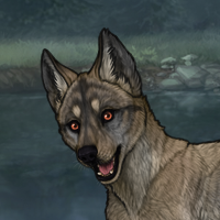 Enclave Pup Headshot