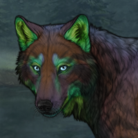 Foresy Gwyd Headshot