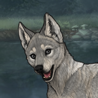 Enclave Pup Headshot