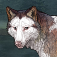 4. Clouded Cave Headshot