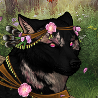 Wolf Headshot