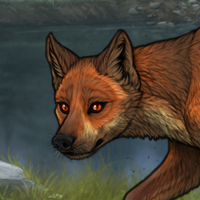 Fox (0.63%)/Fox eyes Headshot