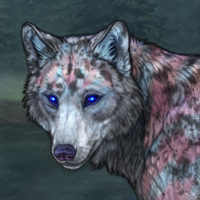 Haunter Winterwolf Headshot