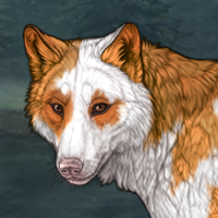 Piebald: Torn Headshot