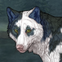 Moonglade Headshot