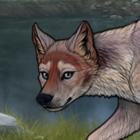 Hyssop Headshot