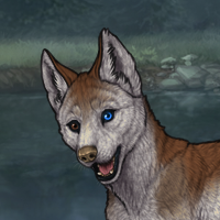 Enclave Pup Headshot