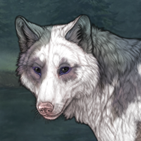 Largest piebald Headshot