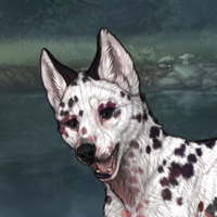 Dalmatian Pie Headshot