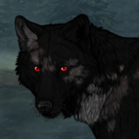 Obsidian Pelt Headshot