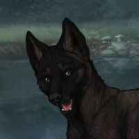 Low in a Howl Headshot