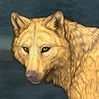 Butter wolf Headshot
