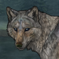 Damsel Headshot