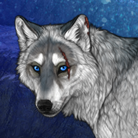 Wolf Headshot