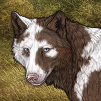 ❦AILO❦ Headshot