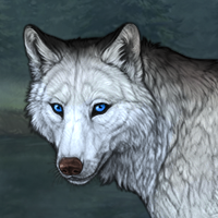 Wolf Headshot