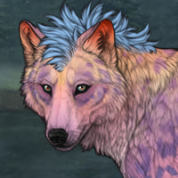 Wolf Headshot