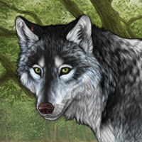 Wolf Headshot