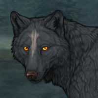 Wolf Headshot