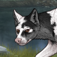 Sell Piebald Headshot