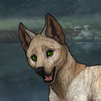 Enclave Puppy Headshot