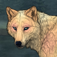 Nymeria III** Headshot