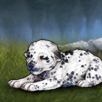 NIB G4 Dalmatian Headshot