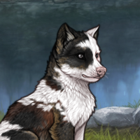 Piebald Headshot