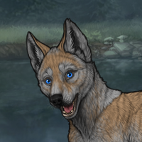 greypup Headshot