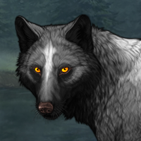 Wolf Headshot