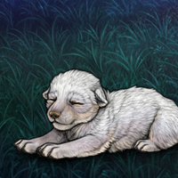 New Puppy Quartz Female Headshot