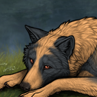 Wolf Headshot
