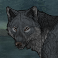 Wolf Headshot