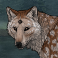 HorizonPelt Headshot