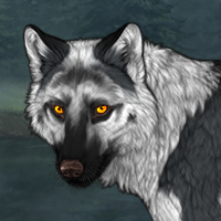 Wolf Headshot