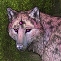 Dara Headshot