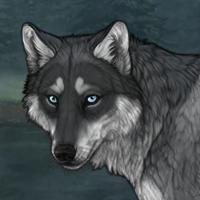 Wolf Dog Headshot