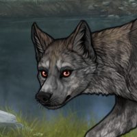 ((Pup))Gray Darker; 5M Headshot