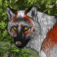 Wolf Headshot