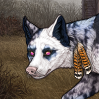 Kafka [Piebald] Headshot