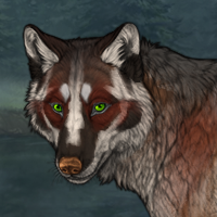 Autumn glazes Fur Headshot