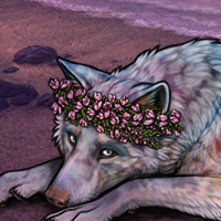 Wolf Headshot