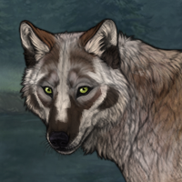 Ashen Fur Headshot