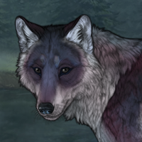 Clearwater Moon Headshot