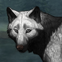 Wolf Headshot