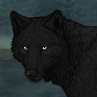 Sirius Black Headshot