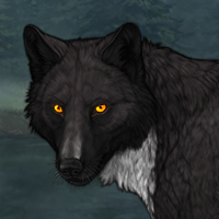 Wolf Headshot